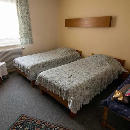 De Bale Hotel 3*